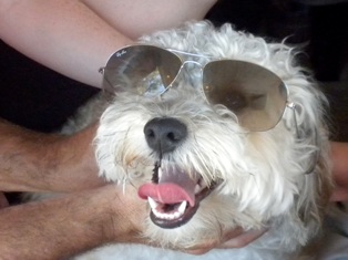 Buster is soooo cool!!