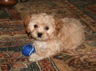 Laney at her New Home