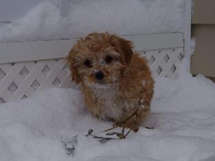 Playing in her 1st Snow