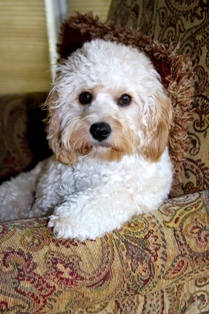Timmy, One Year