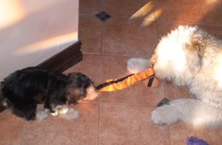 Brody & Friend