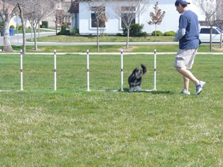 Agility Training