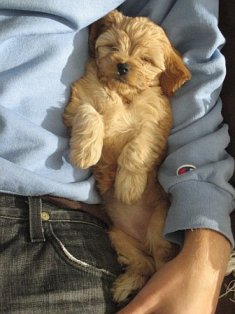 Enjoying some quiet time w/ Dad.