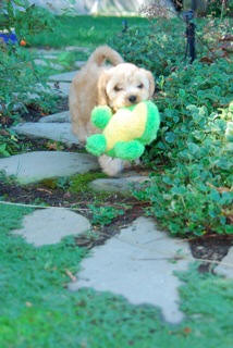 Happy in the Garden with Froggy!